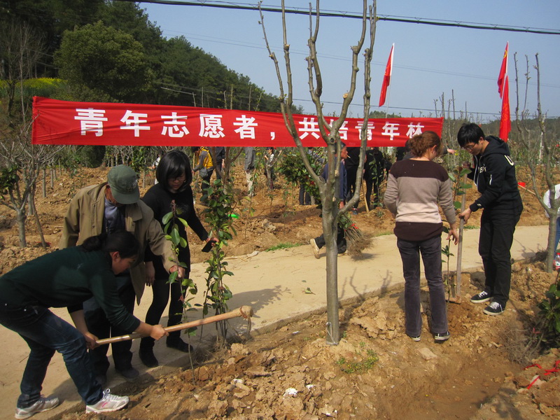 07開展員工義務植樹.JPG